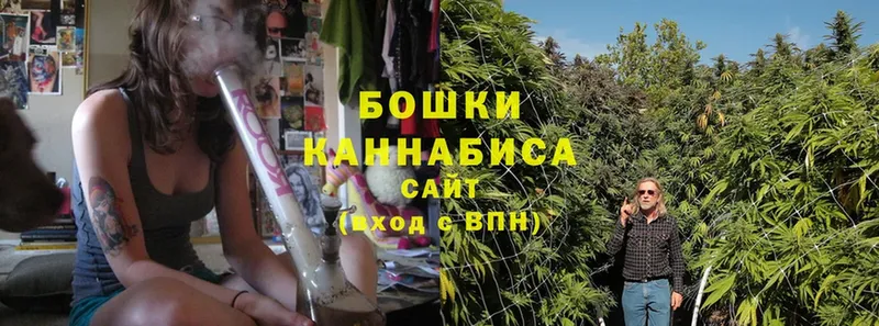 Конопля White Widow  нарко площадка клад  Лиски  как найти  